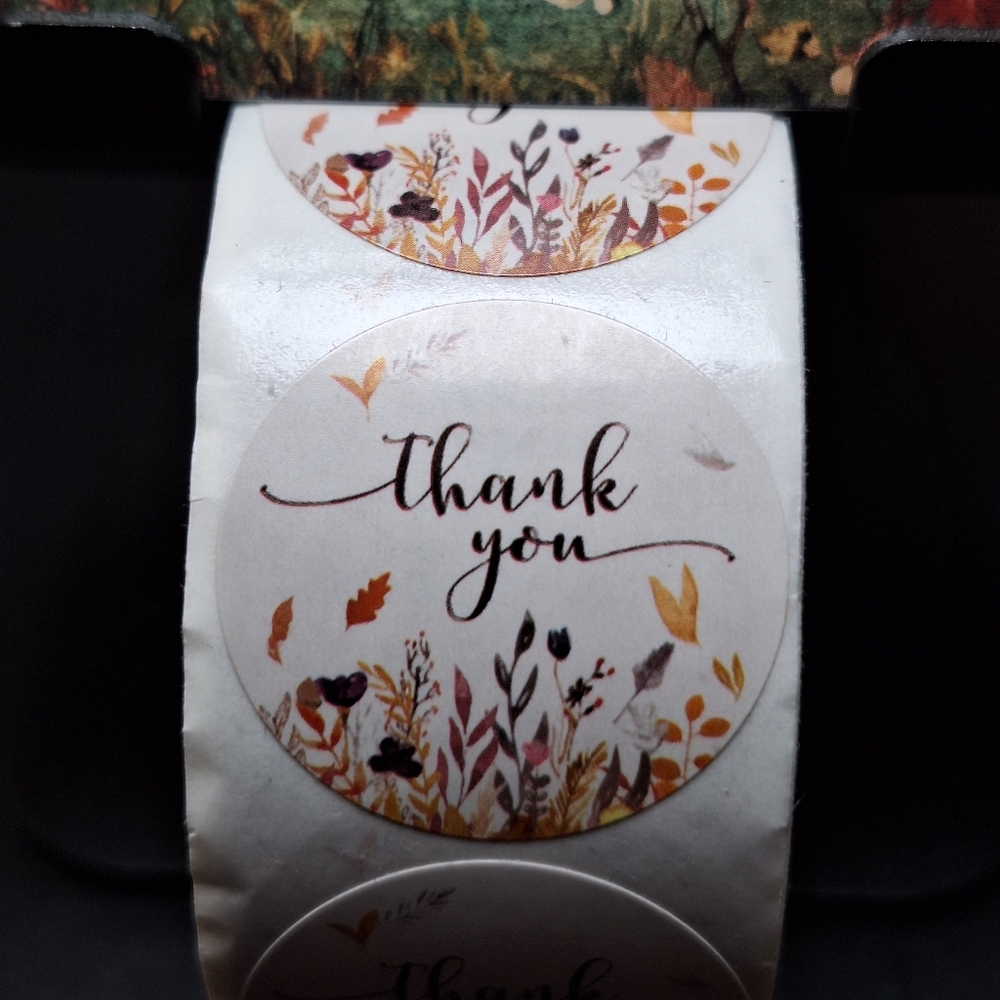 550ct. 50 Thank You Cards 500 Stickers BONUS: 3 Random Polymailers - Picture 5 of 5